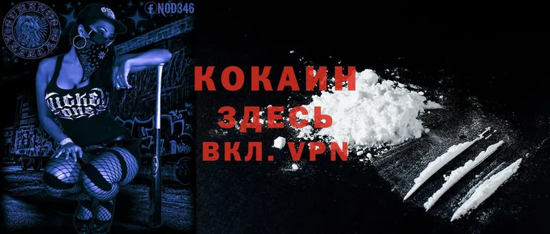 цена   гидра как зайти  Cocaine 99%  Беломорск 